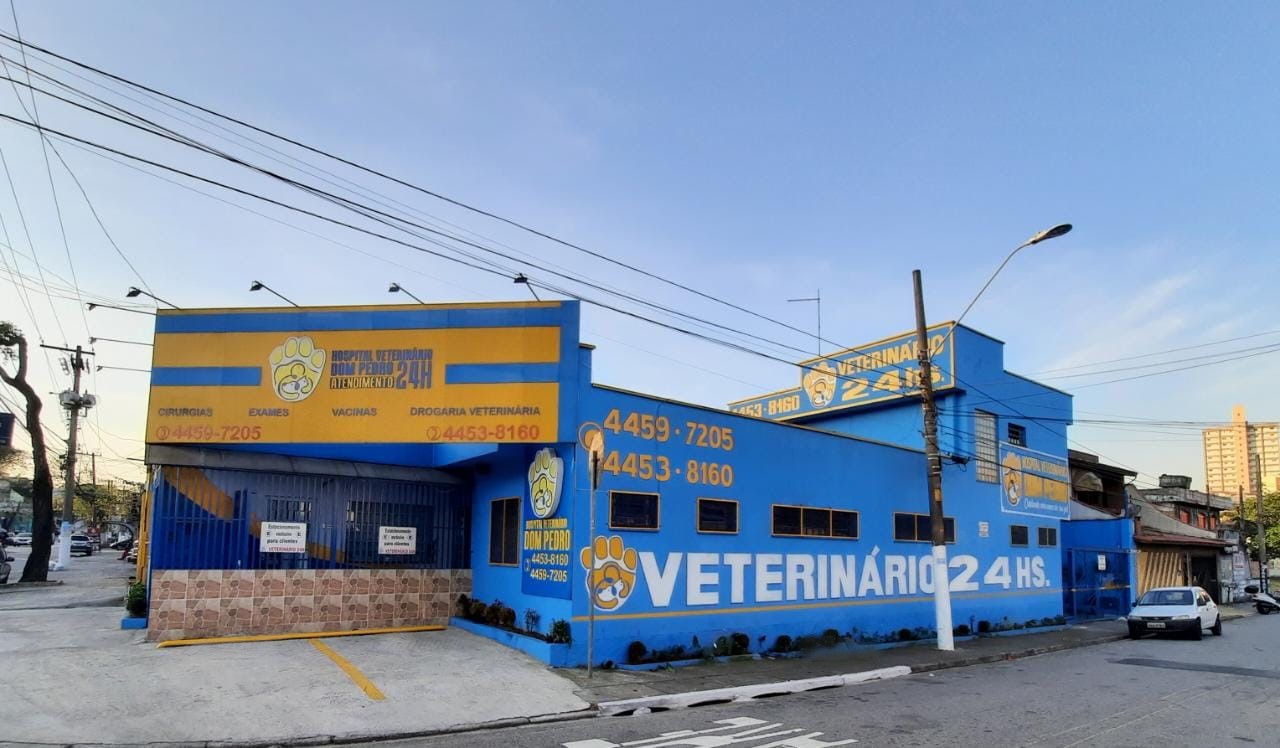 Pet Shop Vitória Hospital Veterinário Dom Pedro